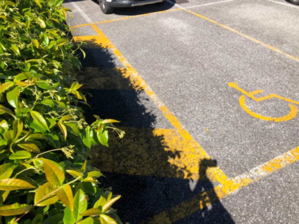 PARCHEGGIO DISABILI PUBBLICO