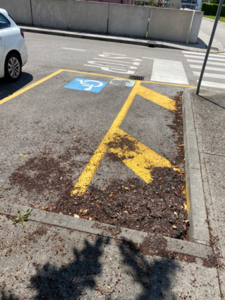 PARCHEGGIO DISABILI PUBBLICO via p.d.m turoldo