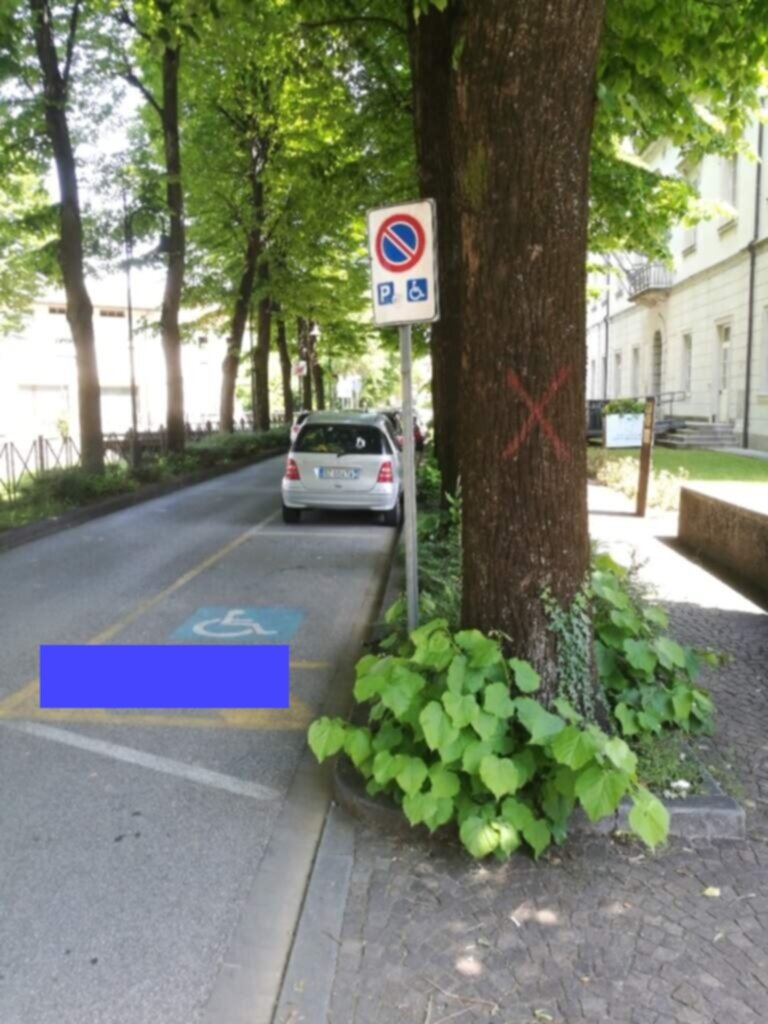 PARCHEGGIO DISABILI PUBBLICO in Via Lungolavia