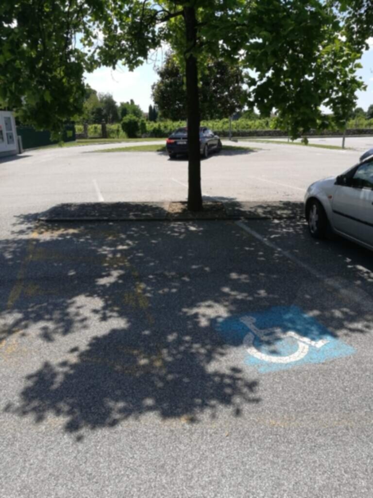 PARCHEGGIO DISABILI PUBBLICO in Via Giovanni Guarschi (Bancomat drive-in)