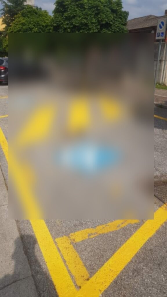 PARCHEGGIO DISABILI PUBBLICO